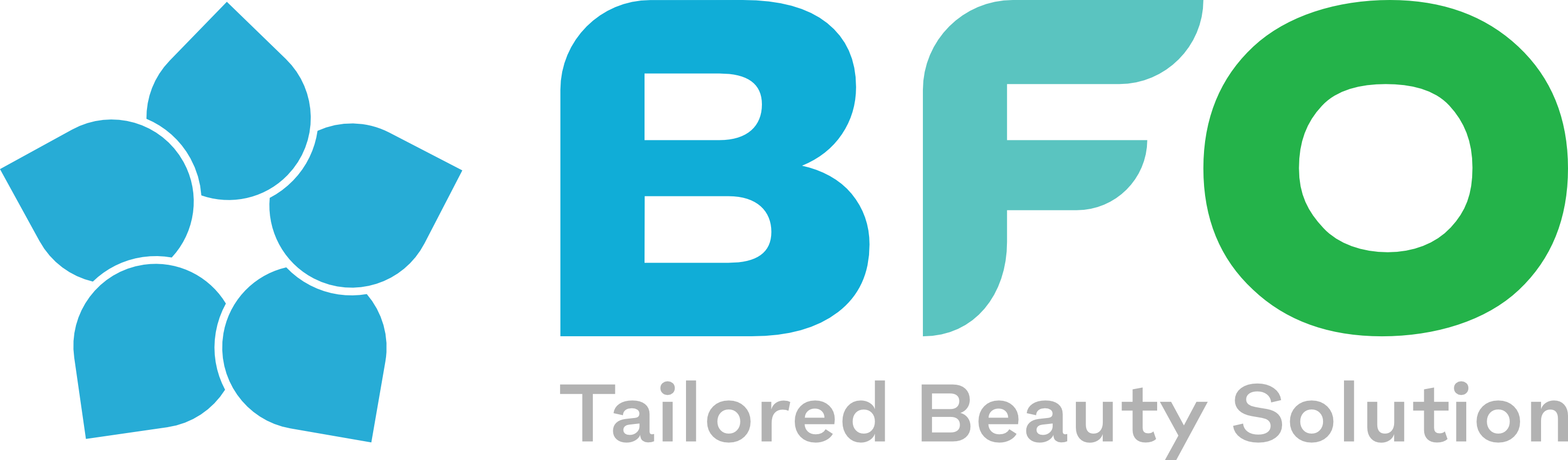 Logo Bfo